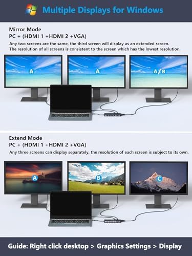 LASUNEY USB C Laptop Docking Station, 14 in 1 Type C Hub Multiport Adapter Dongle, Dual HDMI, VGA, PD, Ethernet, SD/TF, USB C/A Ports, Mic/Audio, Compatible for Dell/Surface/HP/Lenovo Laptops (Black)